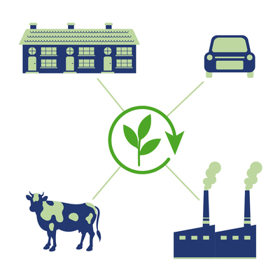 stikstof-hoe-verder-beschermd-plantje