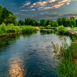 waterrecht